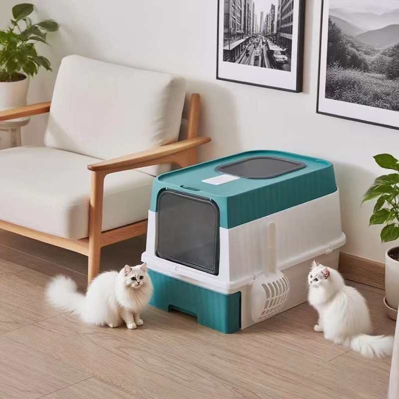 automática gatos diseño Temu Colombia