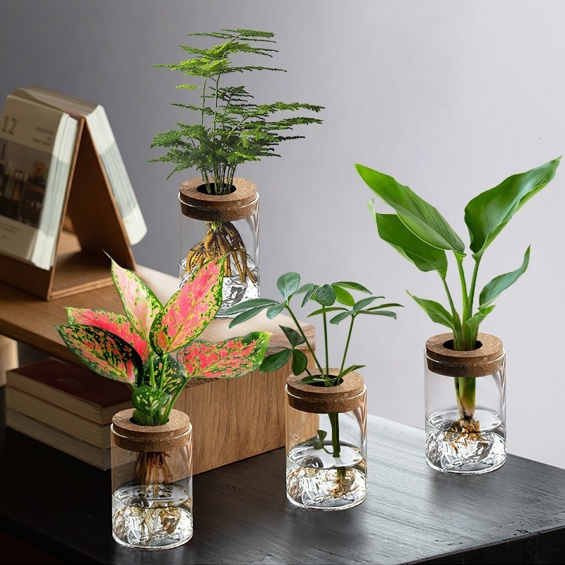 2pcs set   glass vase hydroponic green plant micro landscape creative desktop decoration for     potted plant for   Product details 0