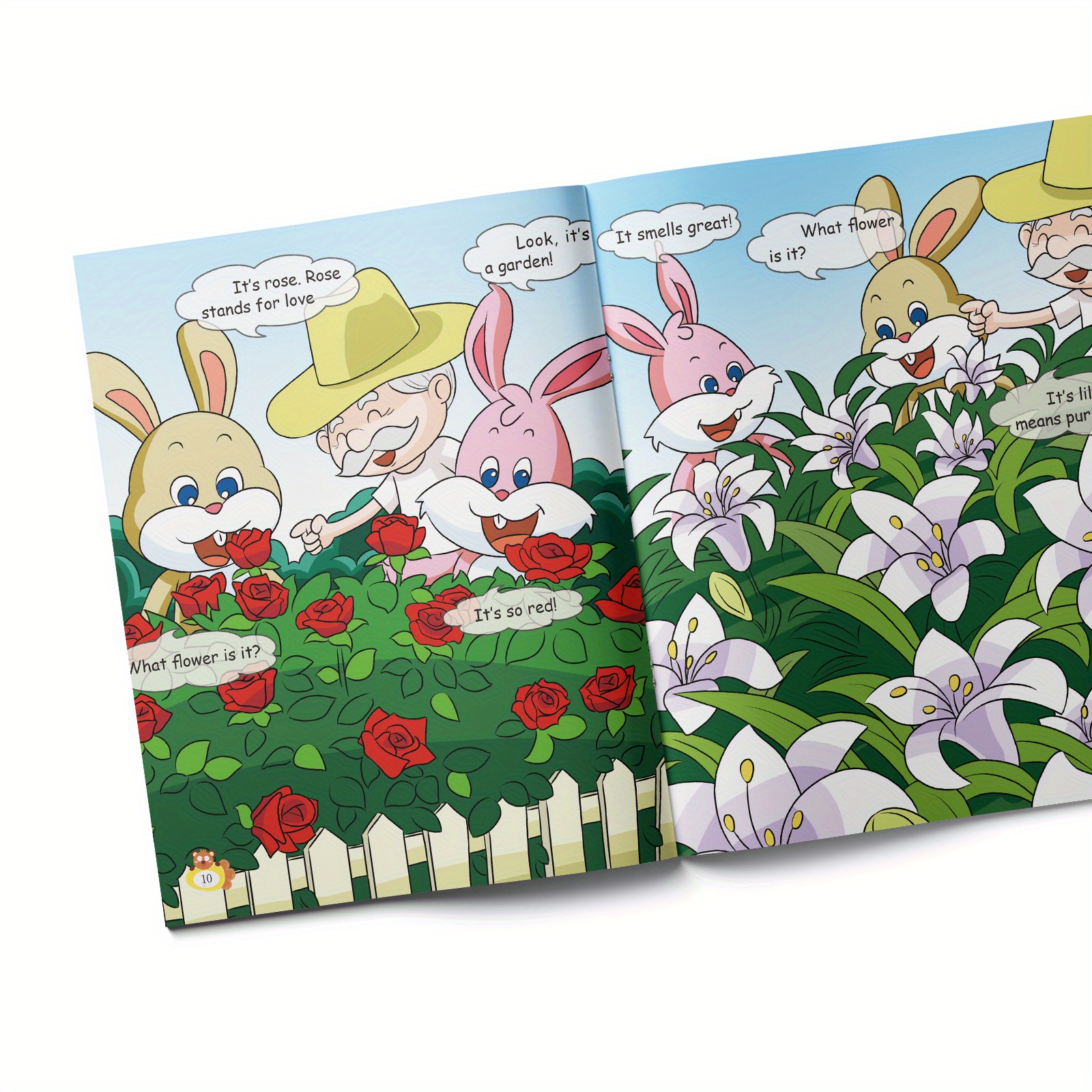 物語シリーズ！12冊 小説。化物語シリーズ12冊。 Amazon.co.jp: 化物語