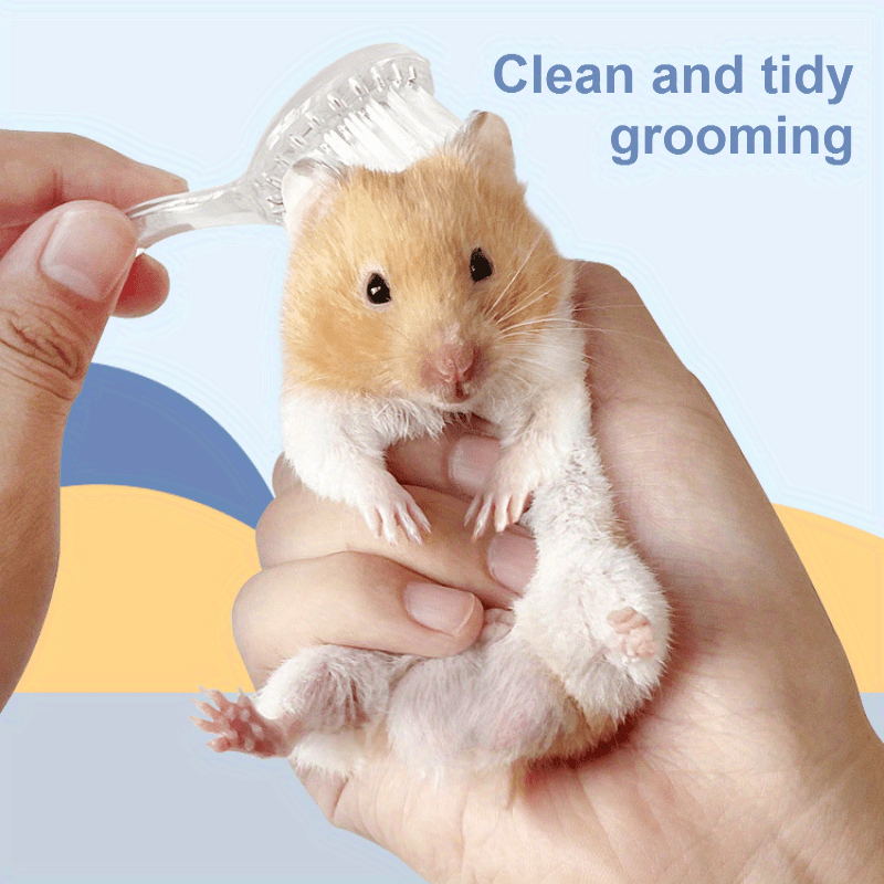 Pet How To Clean A Hamster Cleaning Hamster How To Clean A Dwarf