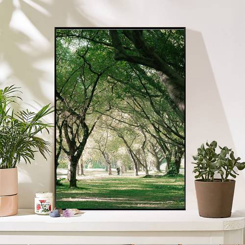 item picture 5d diamond painting featuring a canopy of arch over a grass pathway crystal art for home wall decor complete tools included