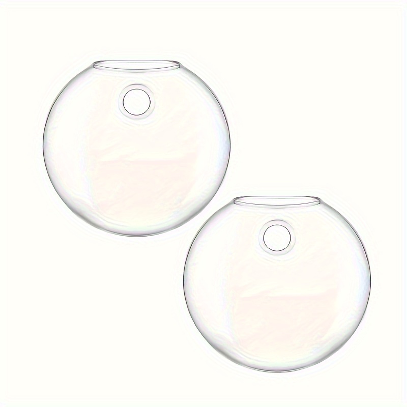 Flat Round Decorative Hanging Hydroponic Plant Glass Bottle