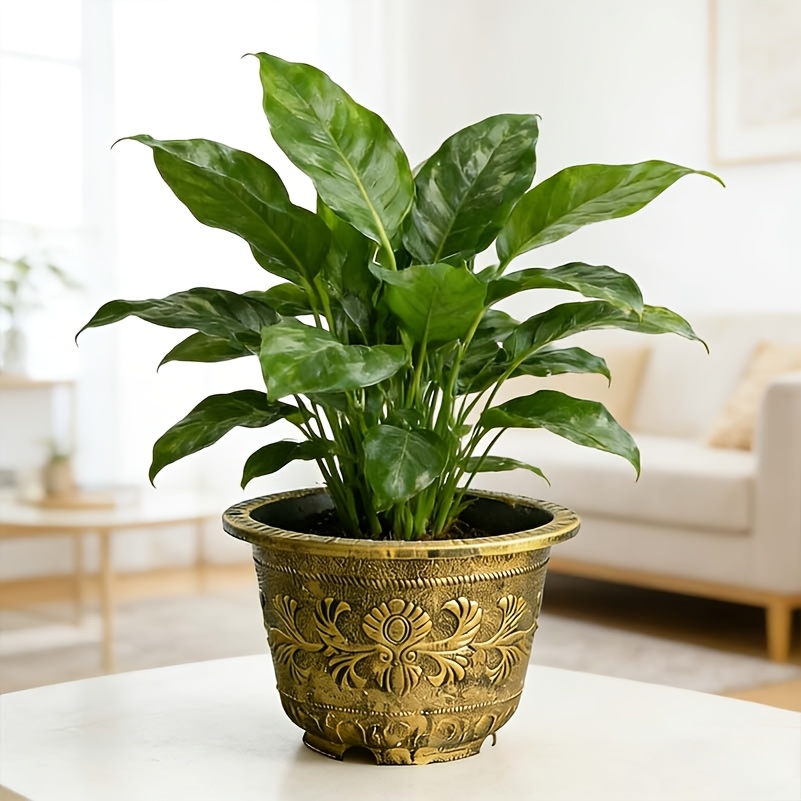 TEMU Thick And Durable Bronze Flower Pots, Available In Extra- For Large For Flower And Fish Tanks. Suitable For Large Outdoor Water Lily , Outdoor
