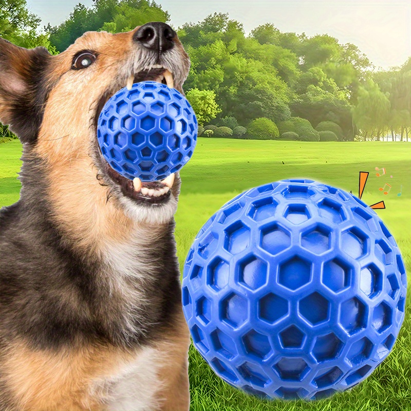 hundegeschirr leder für kleine hunde Premium Ledergeschirr Bundle Konfigurator für kleine Hunde main image 0
