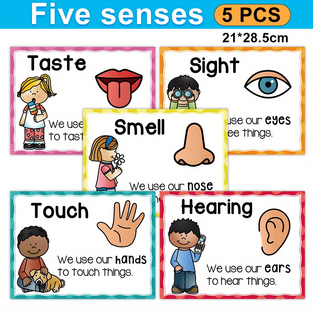 sensory chart sold on Temu Canada
