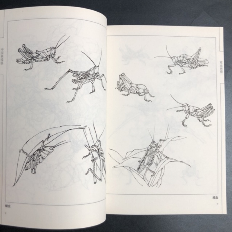 Chinese Line Drawing Grasshopper Painting Book: Beginner's Guide to Traditional Chinese Art, Sketching for Relax - DIY Coloring Book for Teens and Adults, Watercolor, Ink Wash, Oil Painting Chinese Version