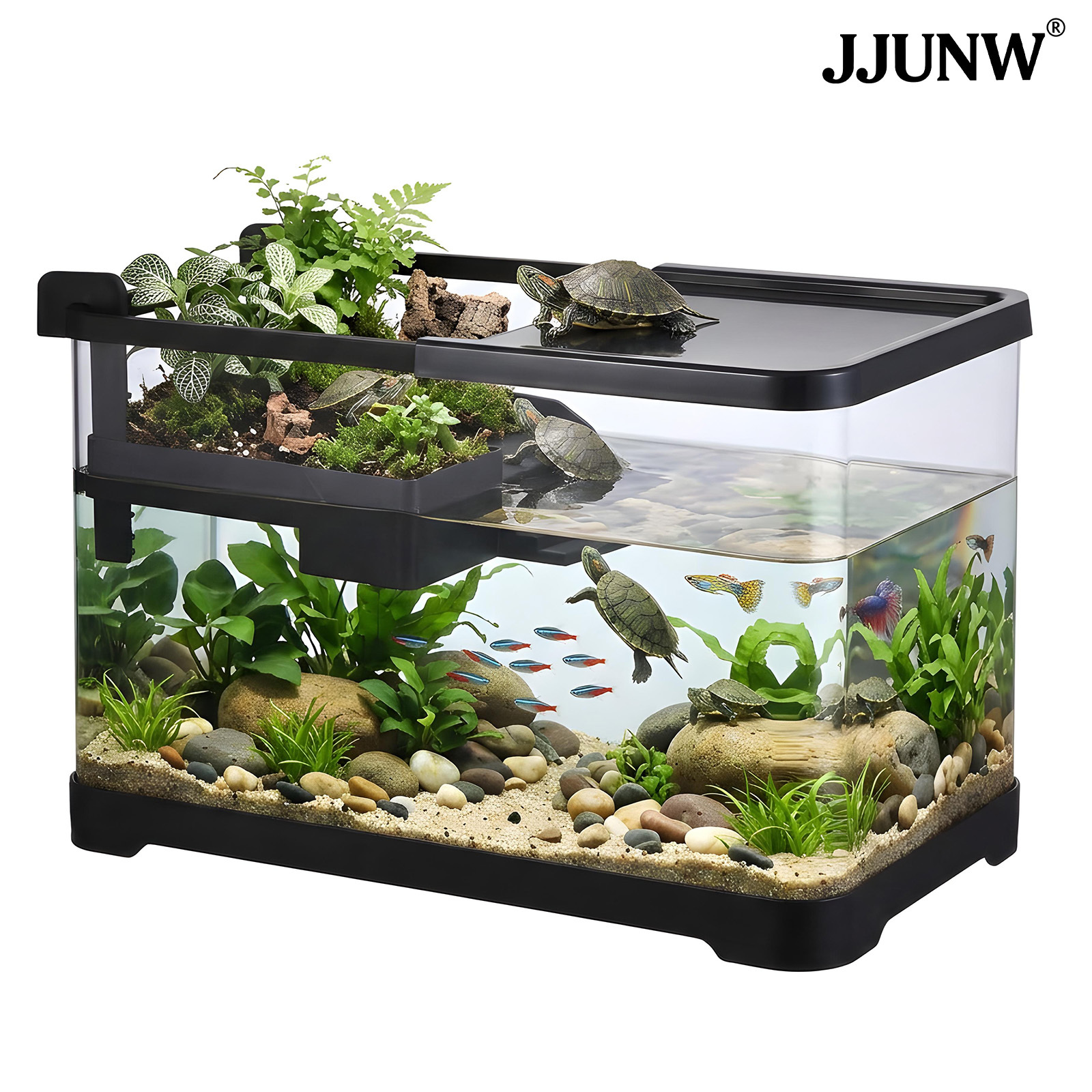 plastic fish aquarium sold on Temu United States