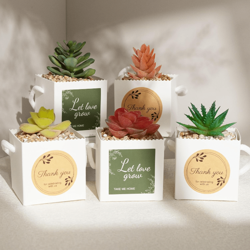 gift 2 5 inch succulent plant packaging bags suitable 2 5 - Temu Germany