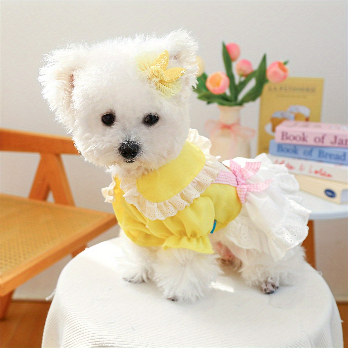 open lace back dress Zunea Dog Harness Dresses for Small Dog Girls Bling Sequin Summer Princess  Dress with Bow Knot main image 0