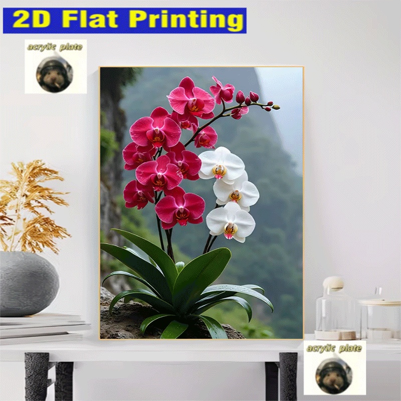 TEMU 1 pièce, Peinture diamant 2D sur le thème de Phalaenopsis 30x40cm pour décoration d'intérieur, livrée avec un kit complet de peinture diamant