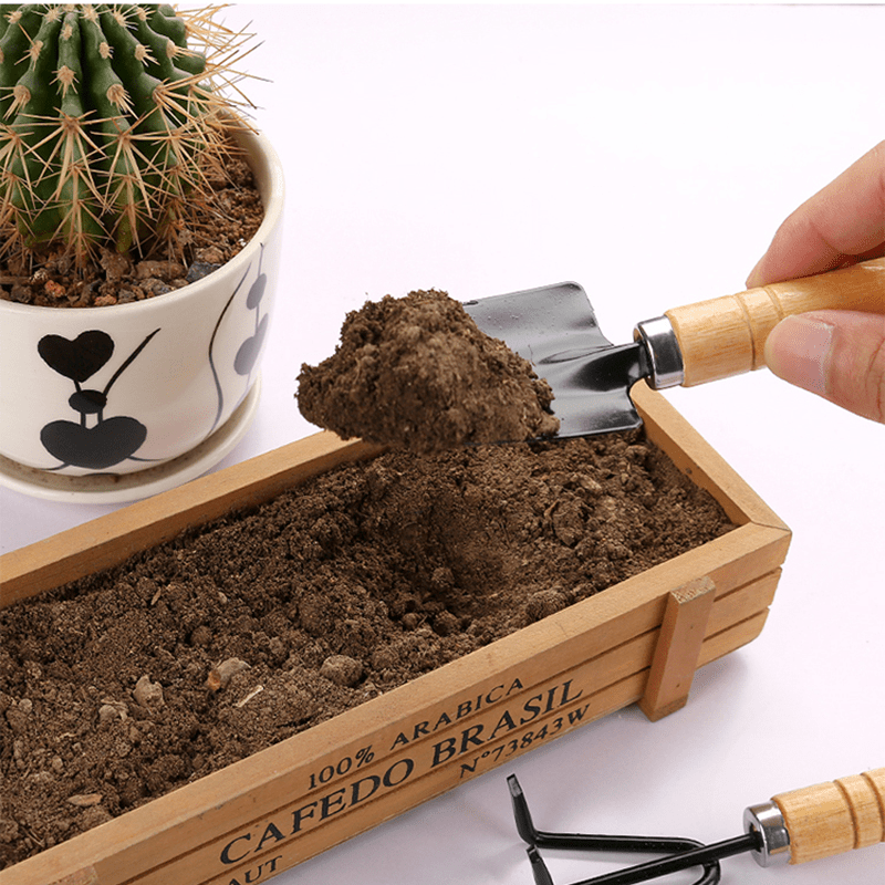 Lot De 3 Pelles à Bonsaï En Acier Inoxydable Toddmomy - Outils Jardinage Pour Plantes D'intérieur, Rempotage, Terreau