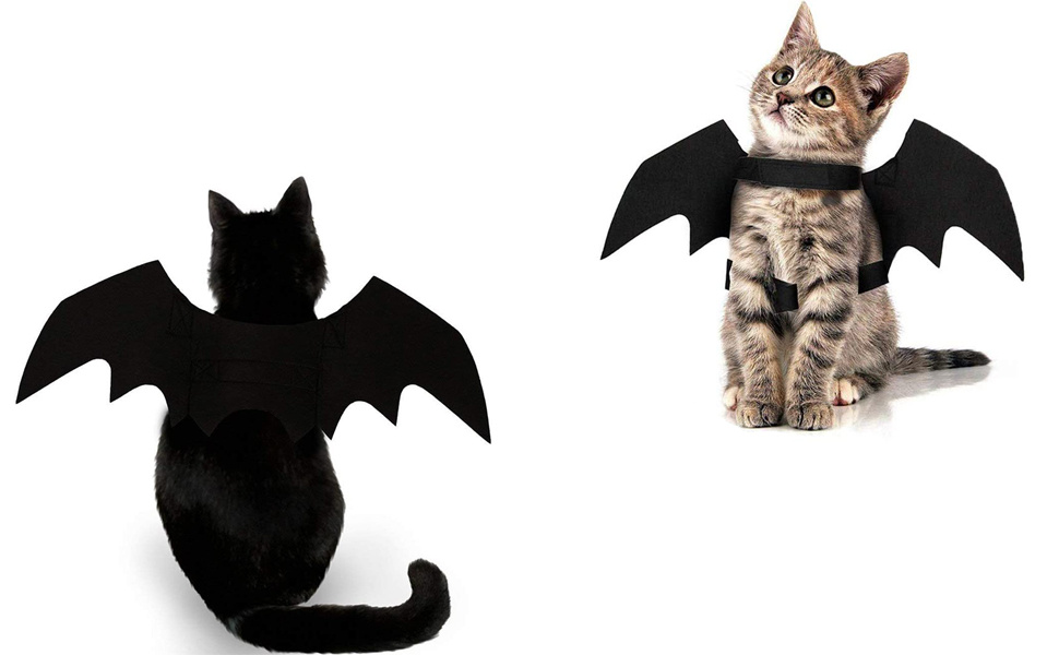 Halloween Bat Wing Costume for Cats & Small Dogs - Adjustable & Comfortable Spooky Bat Wings Outfit with Closure, Lightweight with Padding, All-Season Wear for Kittens & Puppies, Easy to Put On & Take Off, Perfect for Halloween Parties & Costume Events (Black) - Ideal Gift for Boys & Girls, Fits Small to Large Pets, Adorable Bat Wing Design for Year-Round Use, Secure Fit with Chest & Neck Straps, Halloween Costumes, Dog Costume Halloween, Halloween Costumes for Cats,