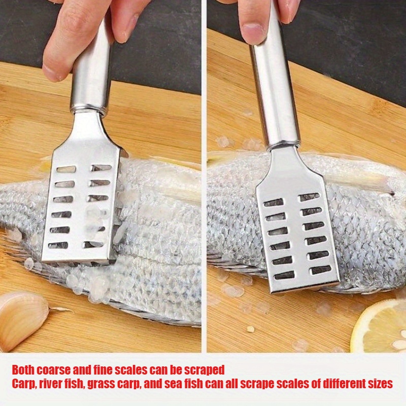 3pcs with serrated edge fish scale scraper, stainless   scale removal brush, multifunctional seafood knife, fish scale remover, fish scale planer, kitchen tool, it can remove fish scales faster and easier Product details 0
