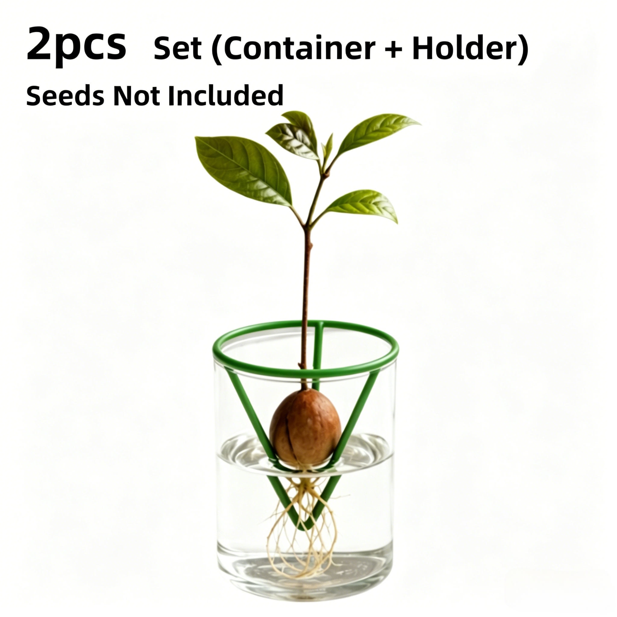 TEMU Lot de 2 vases hydroponiques à graines + support de croissance conique stable, système de germination hydroponique, matériau plastique, convient