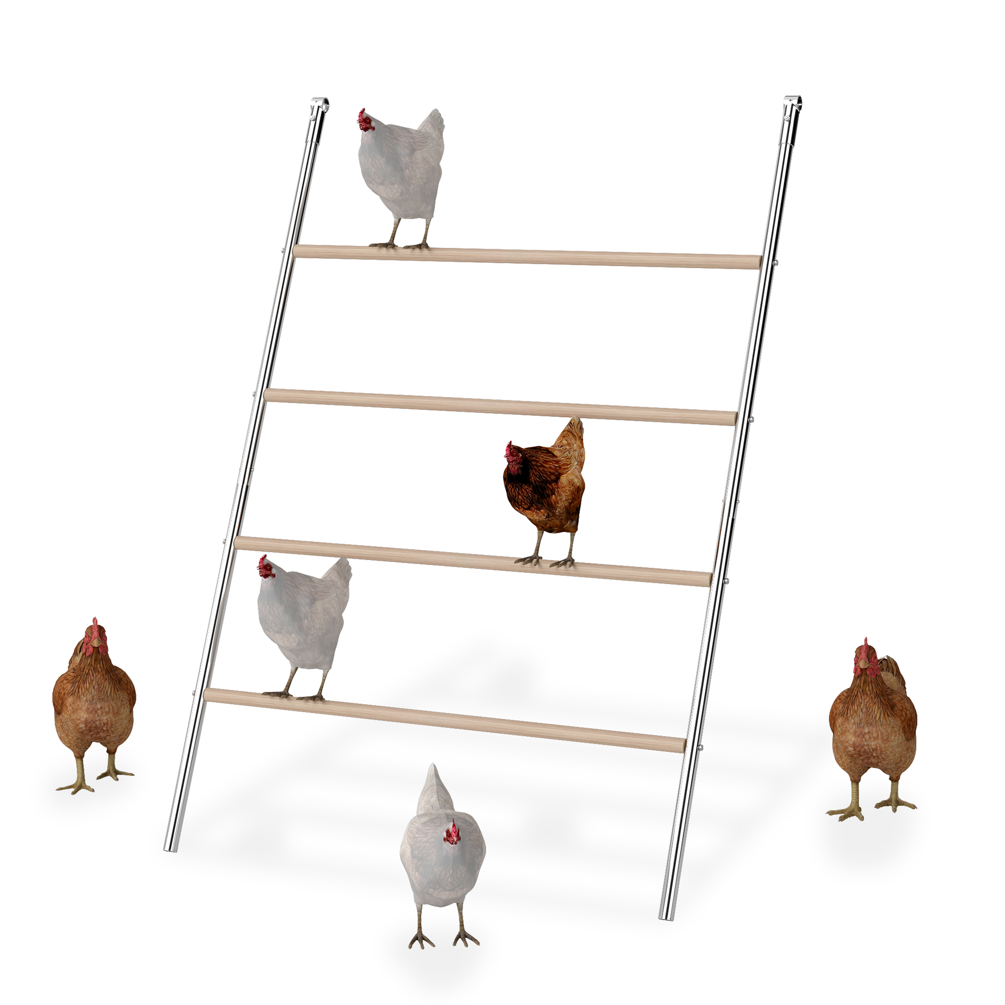 TEMU Chicken Climbers, Chicken Playgrounds, Wooden Chicken Toys, Roosting Chicken Poles, Backyard Poultry Coops, Bird Climbers, Farm Accessories