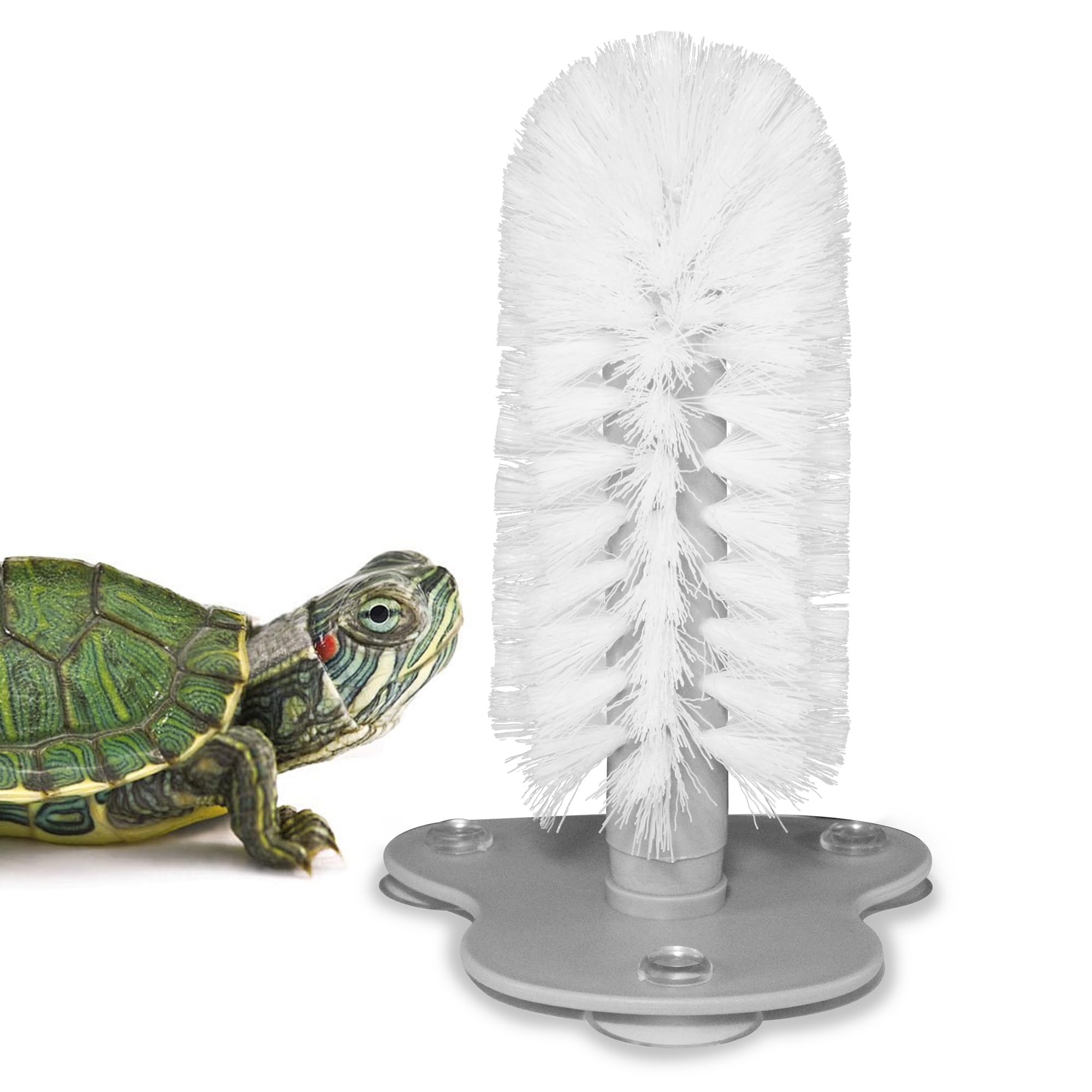 Soft Bristle Turtle Shell Brush, Detachable Suction Cup Turtle Shell Cleaning Brush, Reptile Tank Accessory, Cross-border E-commerce Item For Turtle Pet Supplies Business