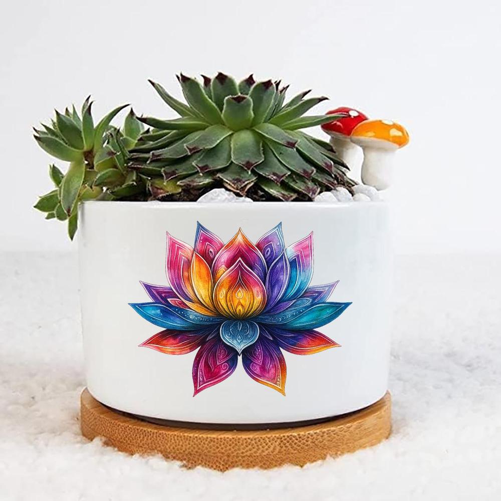 buy monstera deliciosa perth Monstera Plant + Pot