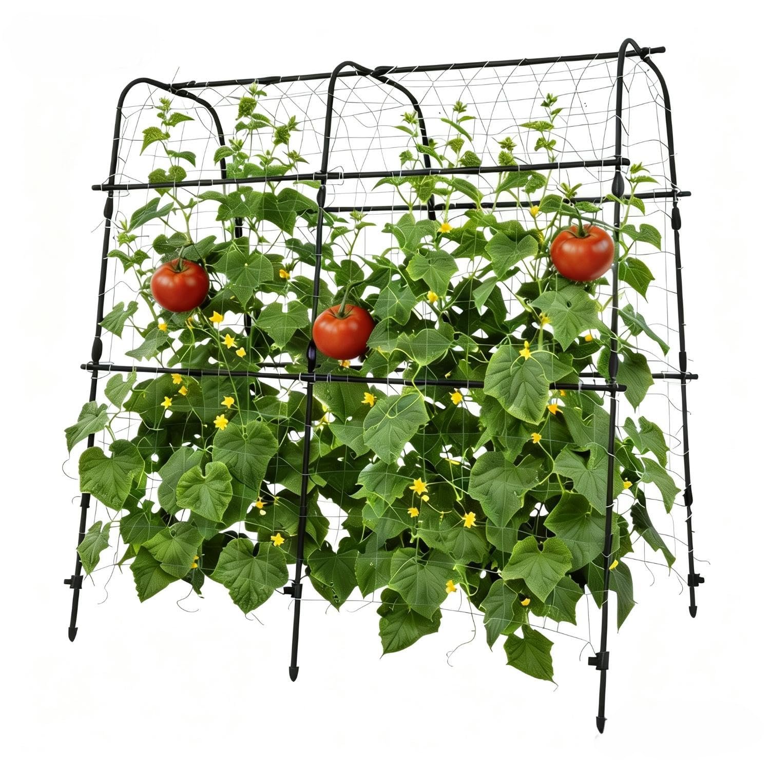 Garden Arch Trellis For Raised Garden Beds, 162 X 162cm Black Climbing Plant Support Frame For Vertical Growing Vegetables, Fruits & Vines Outdoor Gardening