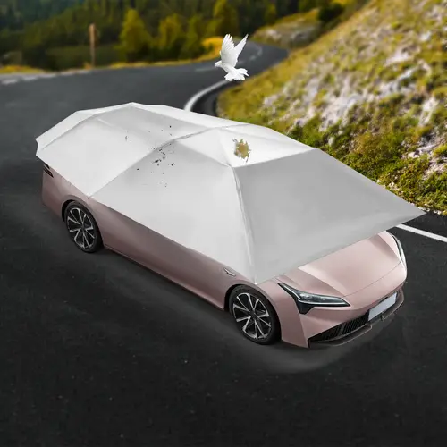 Large Canopy Top View car canopy sold on Temu United States