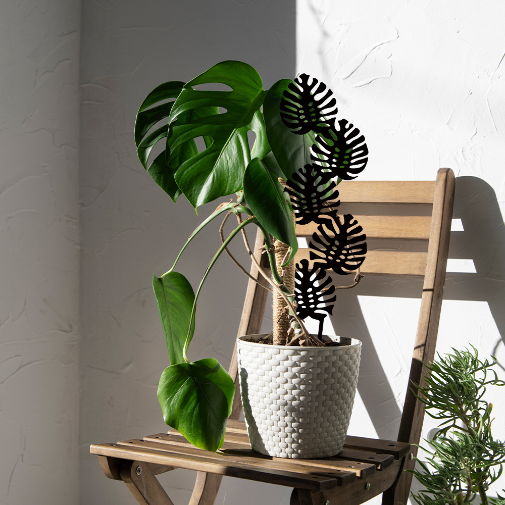 *. Indoor Pflanzen Rankgitter fr Kletterpflanzen, Stapelbares Garten  Rankgitter fr Topfpflanzen, Kleines Zimmerpflanzen Rankgitter fr  Weinreben Efeu Blumenpflanzen Untersttzung Outdoor Metall ...