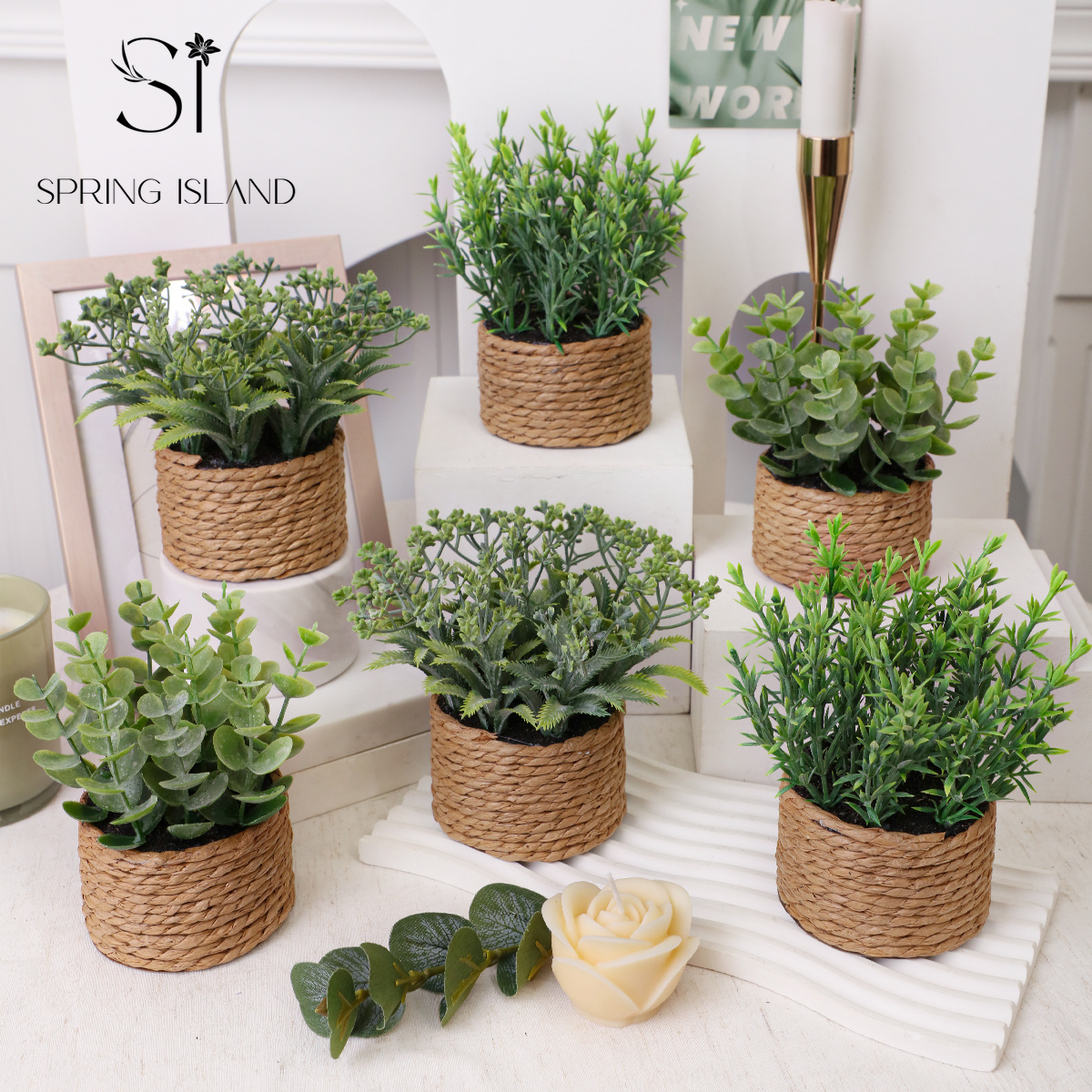 TEMU 6pcs Artificial Money Grass, Rosemary, Mimosa Potted Plants, Paper Rope Woven Pots, Realistic Fake Plant Shapes, Thanksgiving, Christmas,