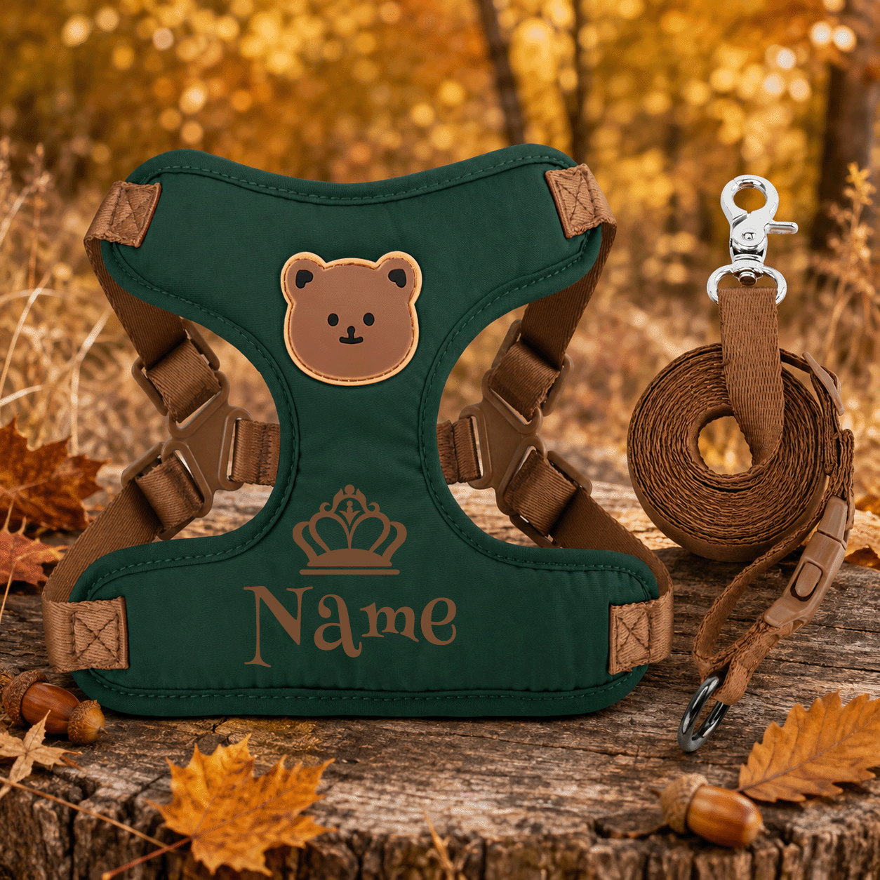 Personalized Name Pet Harness and Leash System for Small Pets