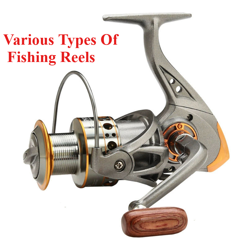 +fishing +reel +for +sale THKFISH 13+1 BB Saltwater Surf Fishing Spinning Reel 10000 How to easily remove style:jig Model:7001c weighing in at just