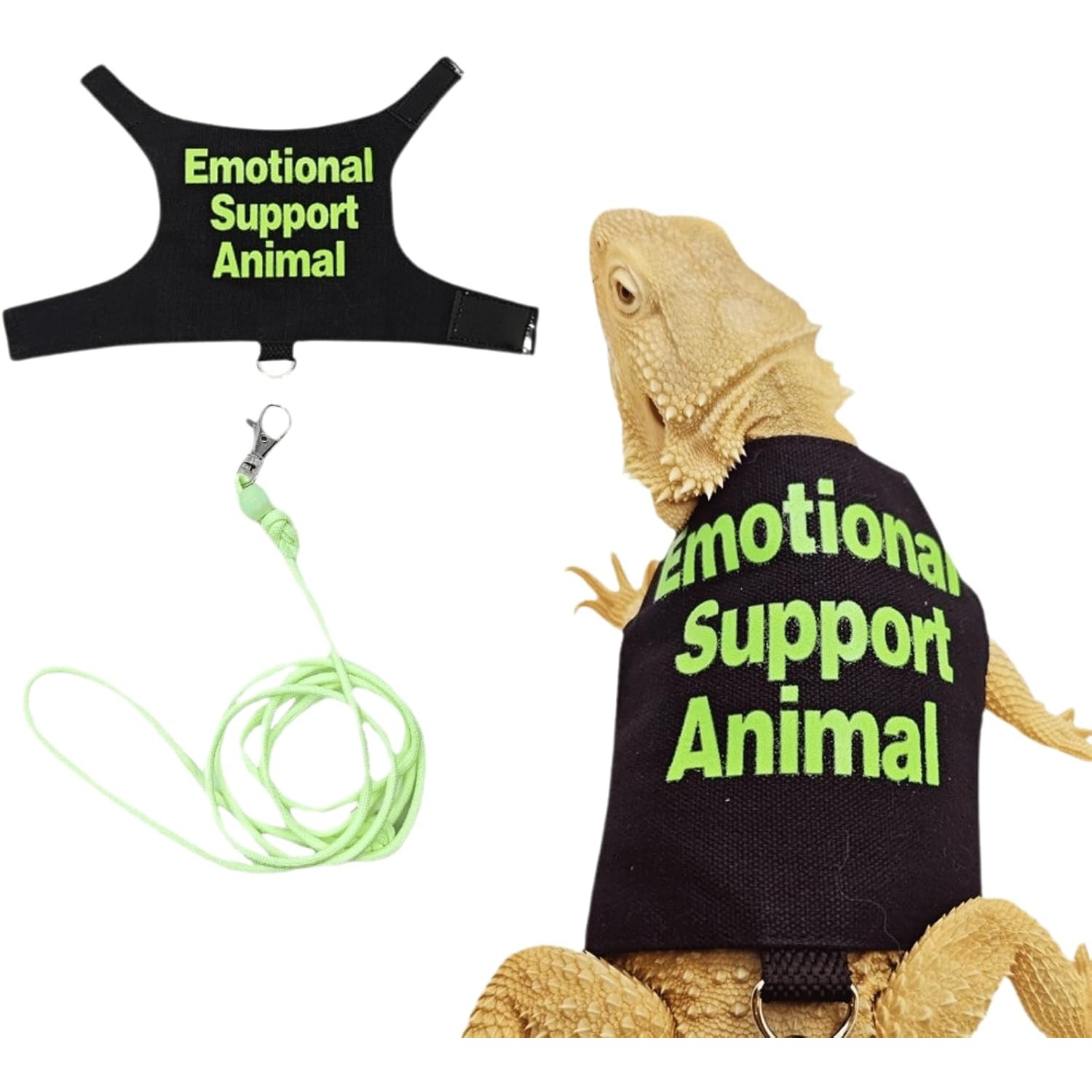 Bearded Dragon Lizards Clothes with Leash Set for Small Pets Reptiles Guinea Pig Apparel Lizards Outdoor Walking Training Harness Leash Hand-Made Costume Photo Prop - Image 5