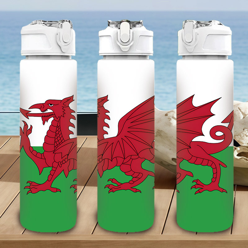 TEMU 1pc, Welsh Red Dragon Green Flag Simple Graphic, 750ml/26oz, Multicolor Plastic Sports Water Bottle, Cute Print, Leak-proof With Pop-up Lid,