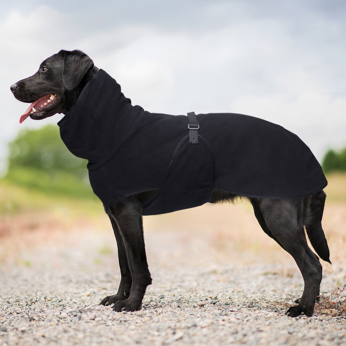 Shake- Thickened Warm Dog Coat, Winter Warm Clothes For Dogs, Hooded Solid Color Pet Sweater, Suitable For Small, Medium, And Large Dogs