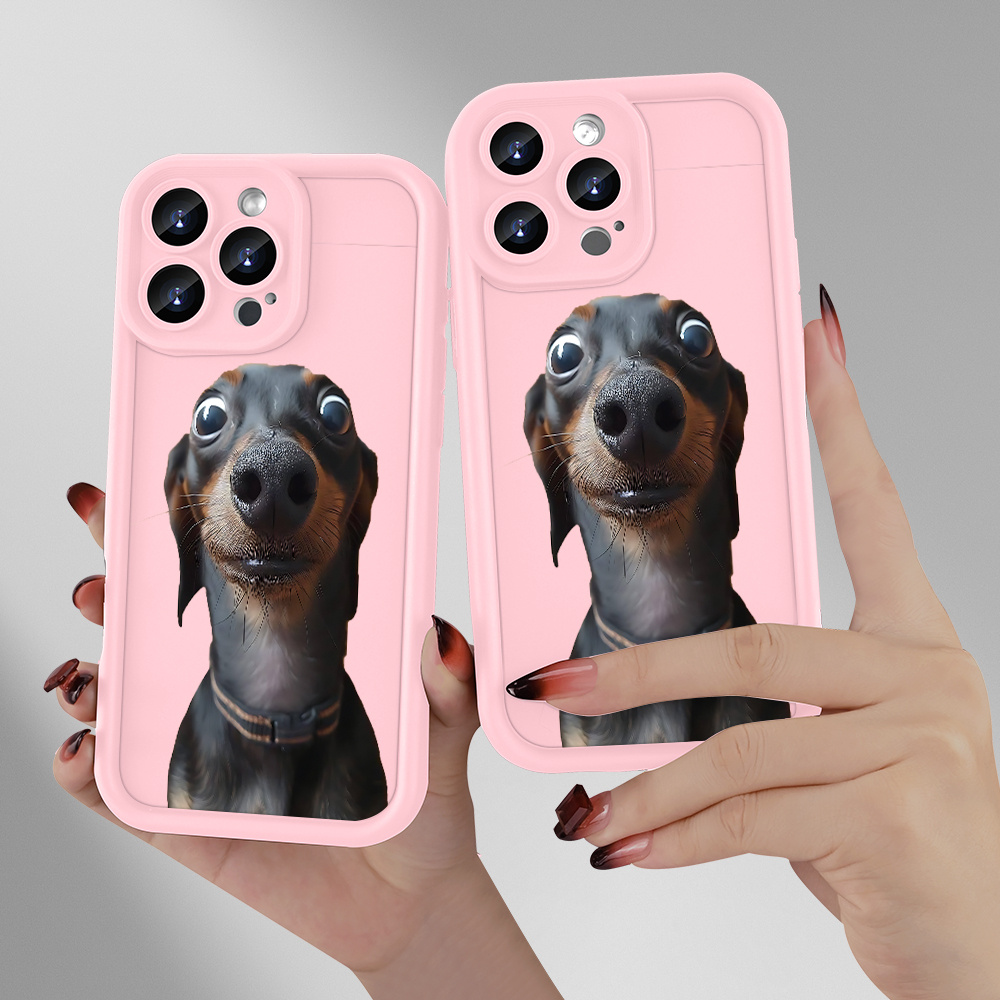 new dachshund dog personality beautiful high end Temu Ireland