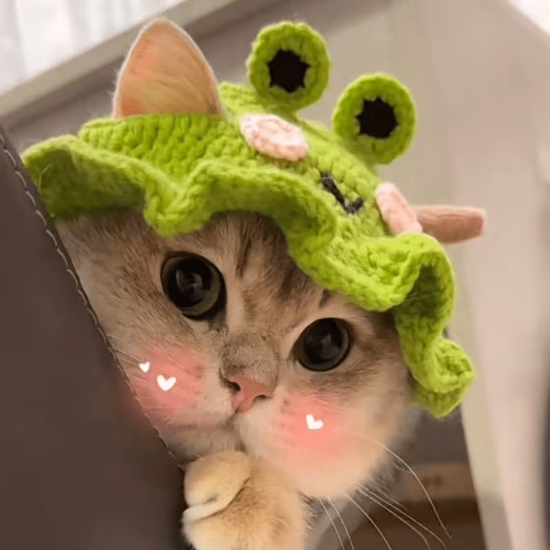 hat adjustable frog strawberry style cat hat suitable for cat and dog birthday hats holidays travel and photography soft and floral decoration breathable and comfortable headwear Product details 10