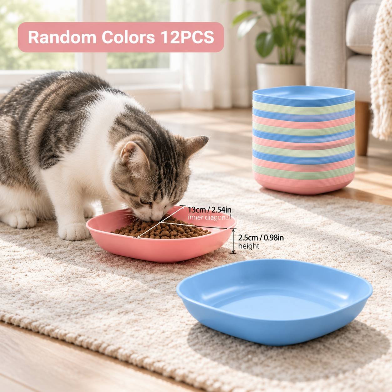 TEMU Ensemble d'alimentation pour chat et chien 12 pièces - Gamelles en plastique compact et résistant pour chat, couleurs aléatoires, gamelles d'eau