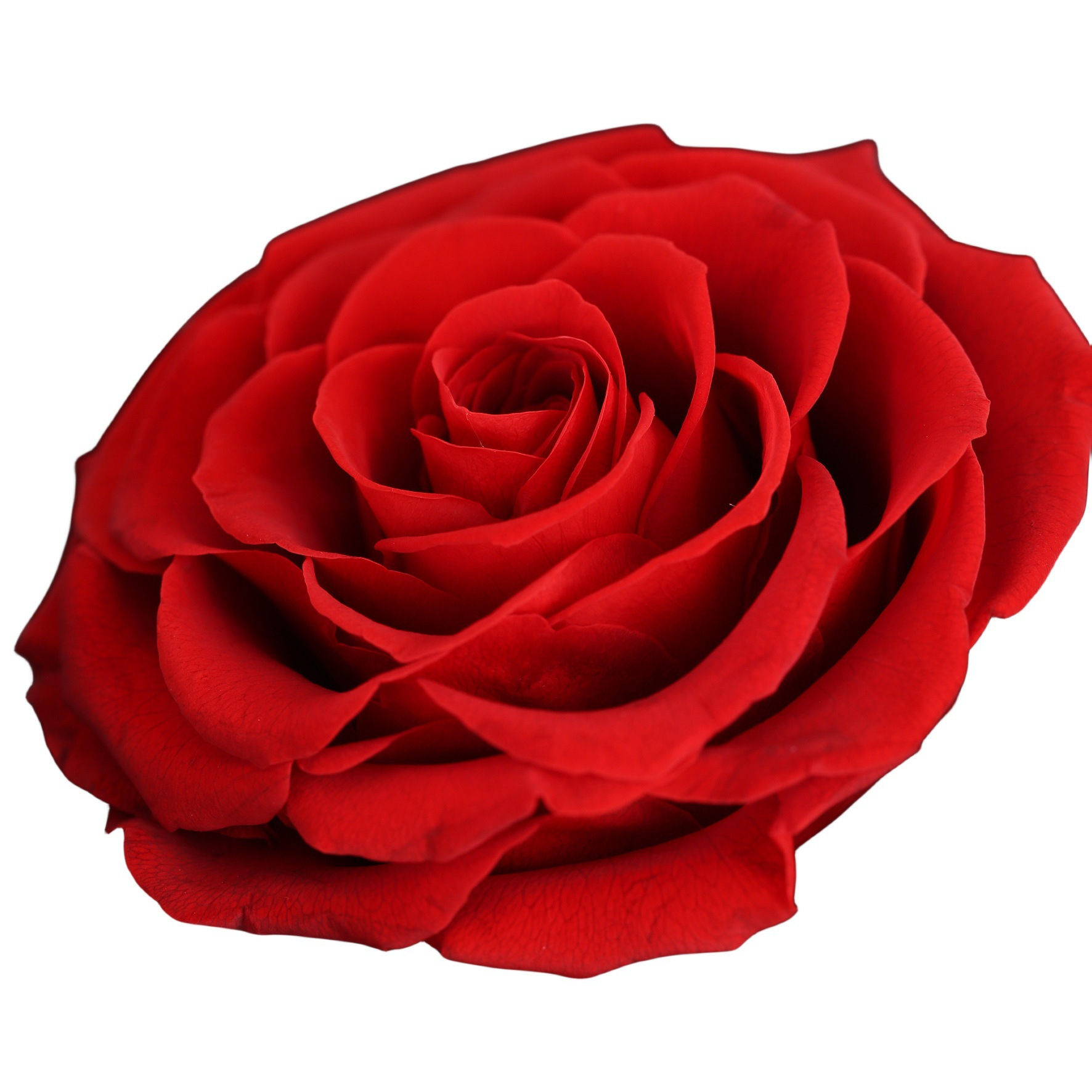 handmade bohemian style acrylic jewelry gift box with   red rose double door storage for necklaces rings drawer organizer black fabric lined interior ribbon bow valentines day anniversary mothers day gift for women moms   jewelry box keepsake organizer elegant   decorative   jewelry boxes Product details 0