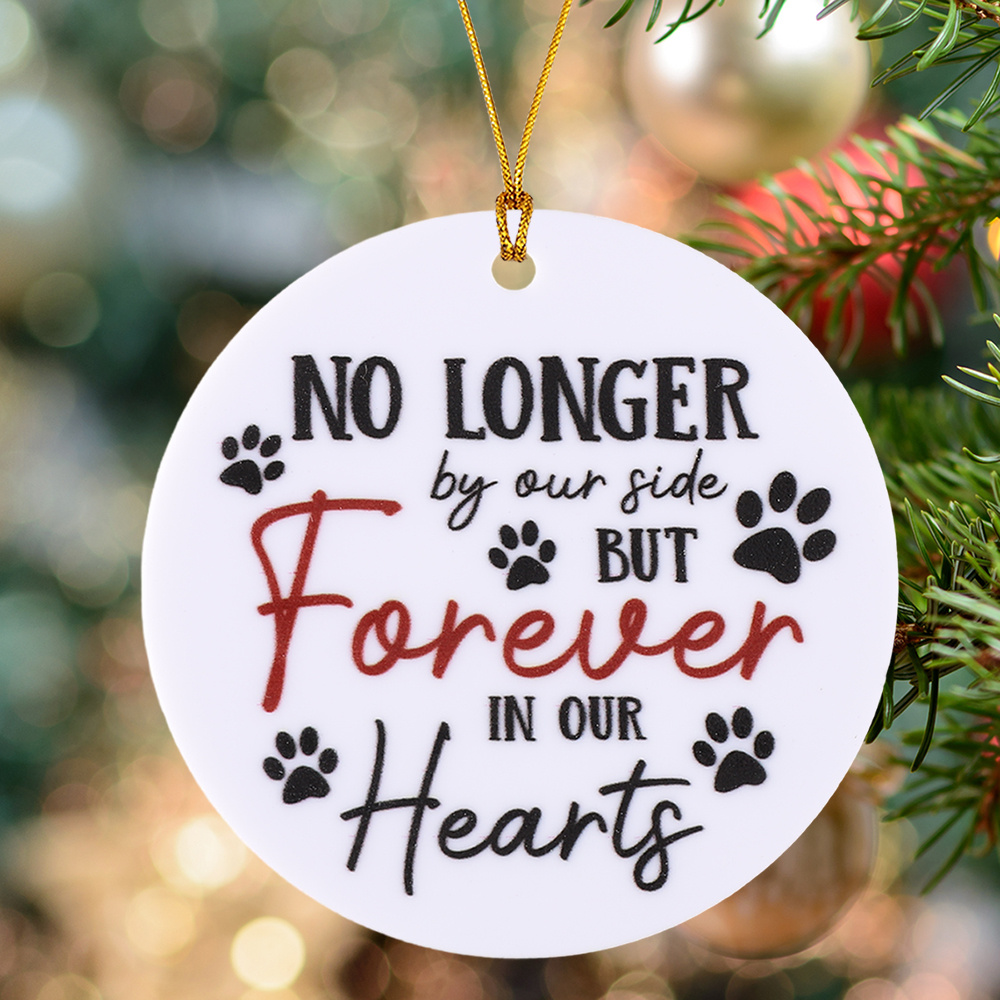 TEMU 2d Flat, 2d Flat Plane, 1pc English Acrylic Pendant Decorative Wall Hanging, Christmas Decoration, Window Hanging, Commemorative Gift, Christmas