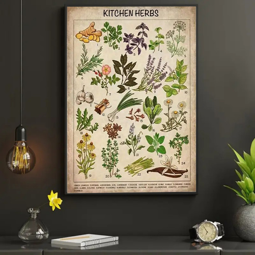 TEMU 1pc Vintage Culinary Herbs Poster - Educational Kitchen Chart With Labeled Botanical Illustrations (basil, Rosemary, Thyme, Lavender) - Vintage
