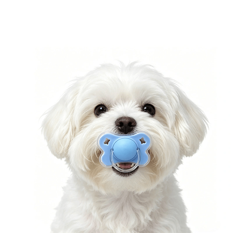Small Dog Chewing Toy for Interactive Play