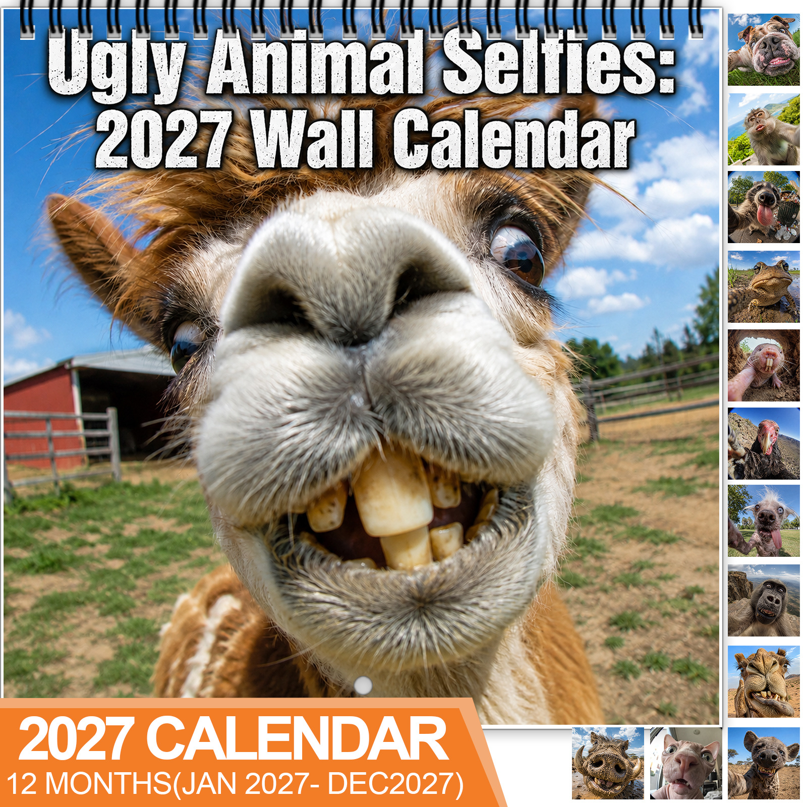 TEMU 1 2027 Fun Cute Wall Calendar, Spiral Bound December Calendar, With Large Date Blocks, Featuring Humorous And Quirky Pet Selfies , And Office