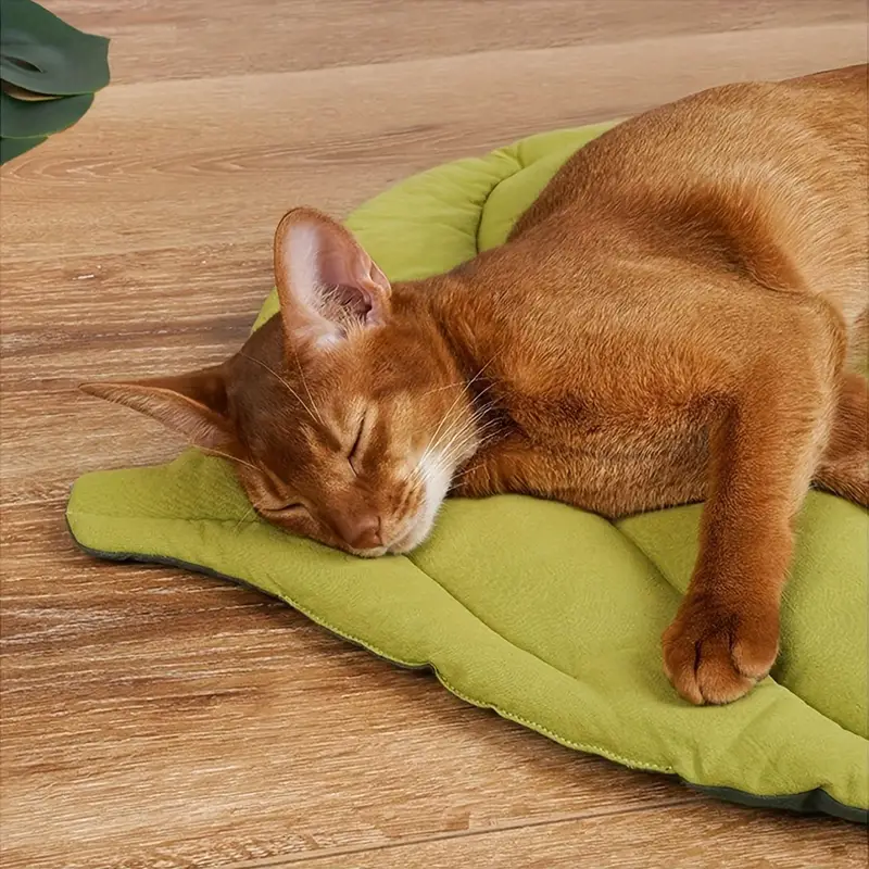 1 soft washable leaf shaped pet mat for non slip bite resistant polyester bed with removable cover rectangular sleeping mat for and sleeping pad Product details 3
