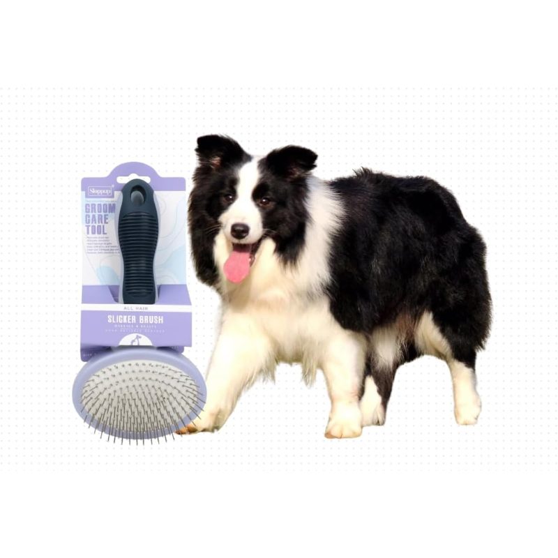 All-In-One Pet Grooming Brush - Deshedding Cats And Dogs, Massaging Slicker Brush for Removing Loose Undercoat, Detangling Mats - Gentle Dog Brush for Short And Long Hair Pets with Close-Spaced Pins