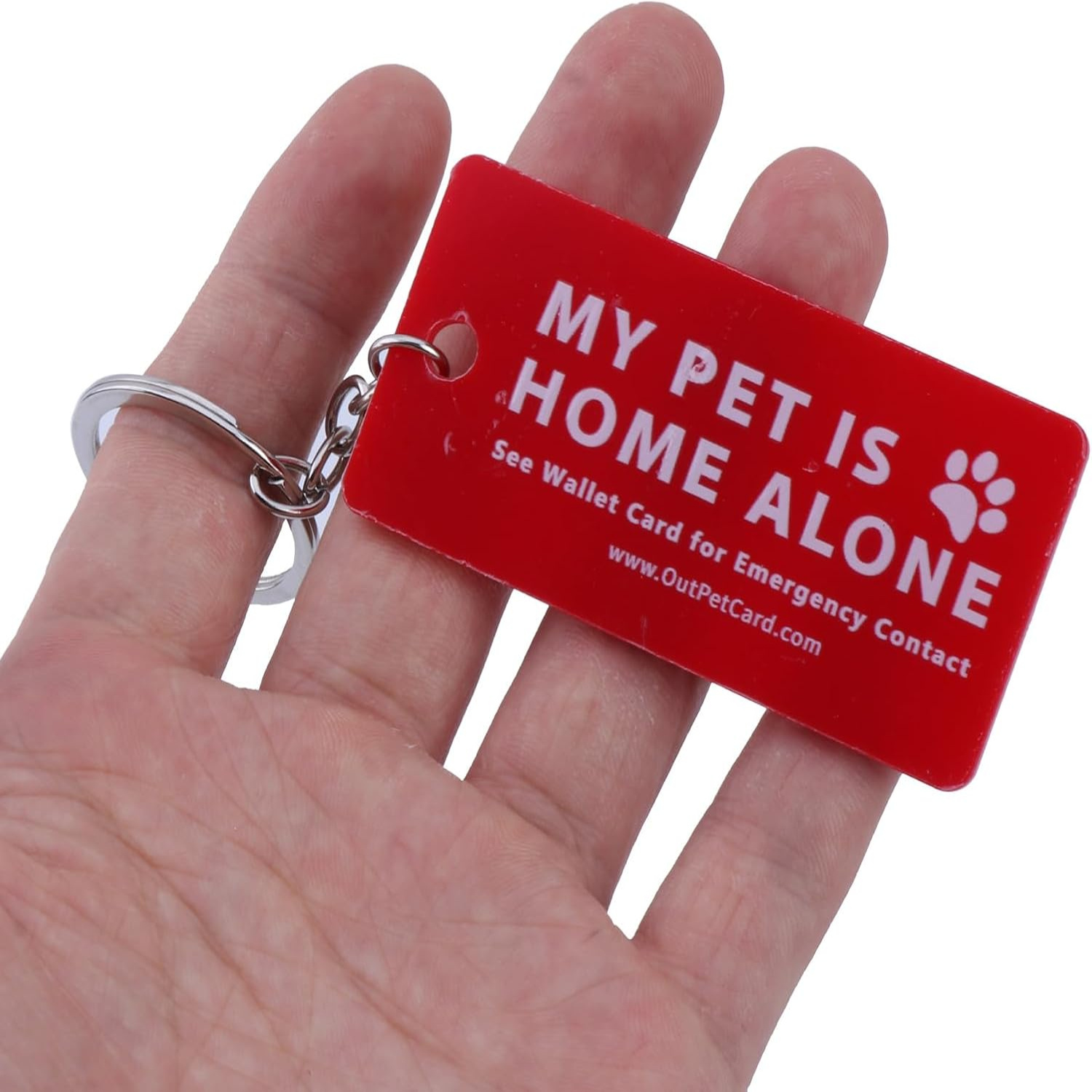 New Keychain Pet Keychain Portable Tool Keychain