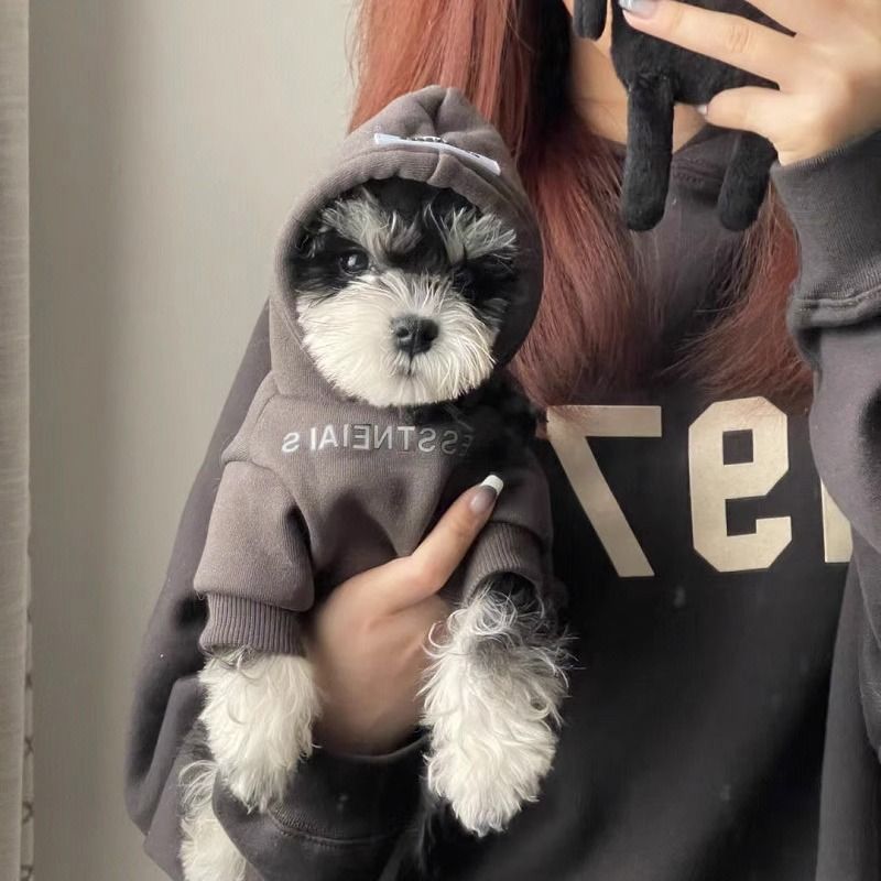TEMU 犬服 春秋 テディ 小型犬 ヨーキー 映え 秋冬 ペットスウェットシャツ 猫用