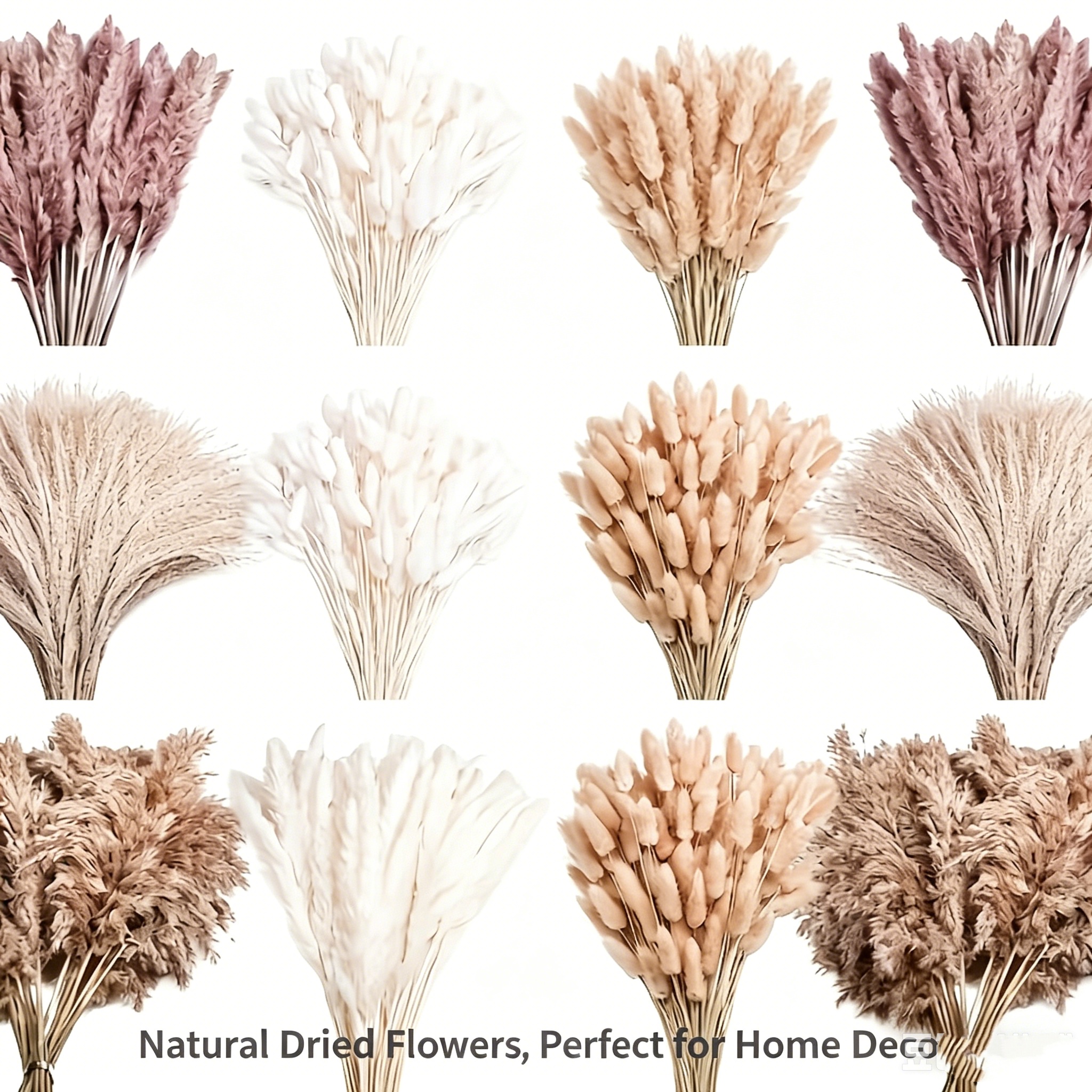 229pcs Natural Dried Flower Pampas Bunny Rabbit Tail Grass Bouquet Boho Home Vase Room Living Seasonal Garden Decor Flowes 's Tail Wedding Party Decoration Festival Gift