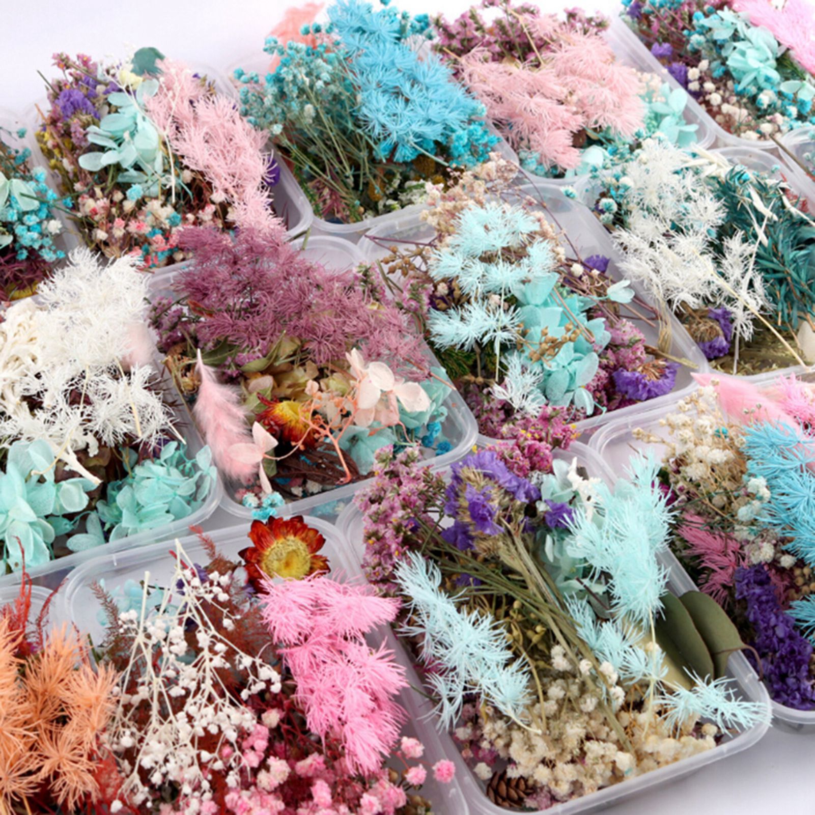 TEMU 4-box Dried Flower Set, Mixed Styles , Idechristmas, Valentine's Day, And , Styles Of Decorative Packaging, Scrapbooking, And Home Decoration