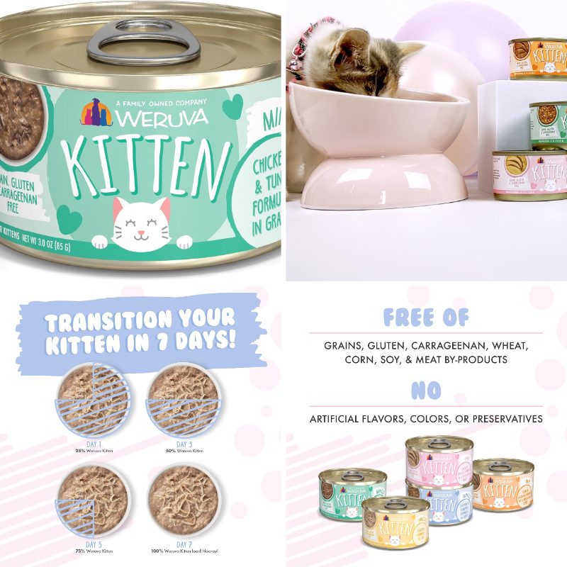 safematerial high quality kitten, chicken tuna   gravy,   oz can pack of 12 pet   Product details 0