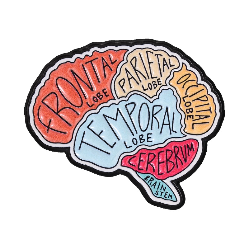 TEMU 1pc Brain Anatomy Section Pattern Brooch, Novelty Small Item, Clothing Hat Backpack Pencil Case Decoration Accessory, Creative Small Gift Badge