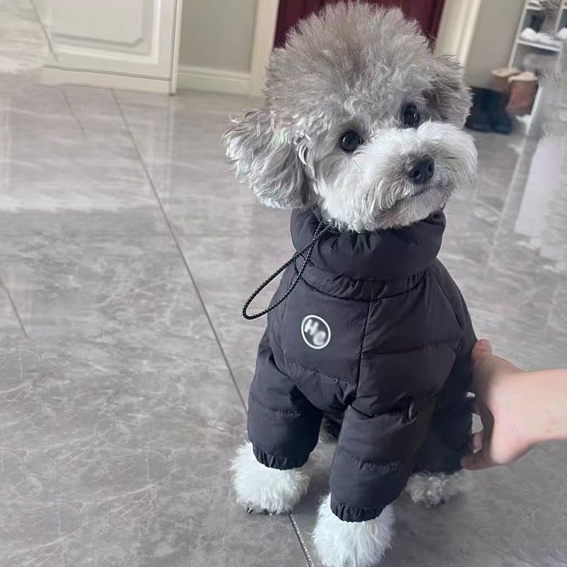 TEMU Verdickte vierteilige Herbst- und Winterkleidung für Katzen und Hunde, stilvoll und warm für Teddy- und Bichon-Hunde