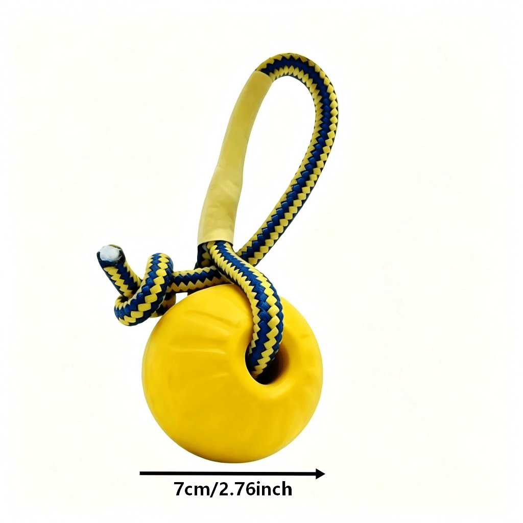 TEMU Dog Floating Pool Toy Set, Rope Tug Ball& Tug Bone For Small Medium Large Dogs, 19.69 Inches Rope Length, Eva Rubber Pet Interactive Play Toy,