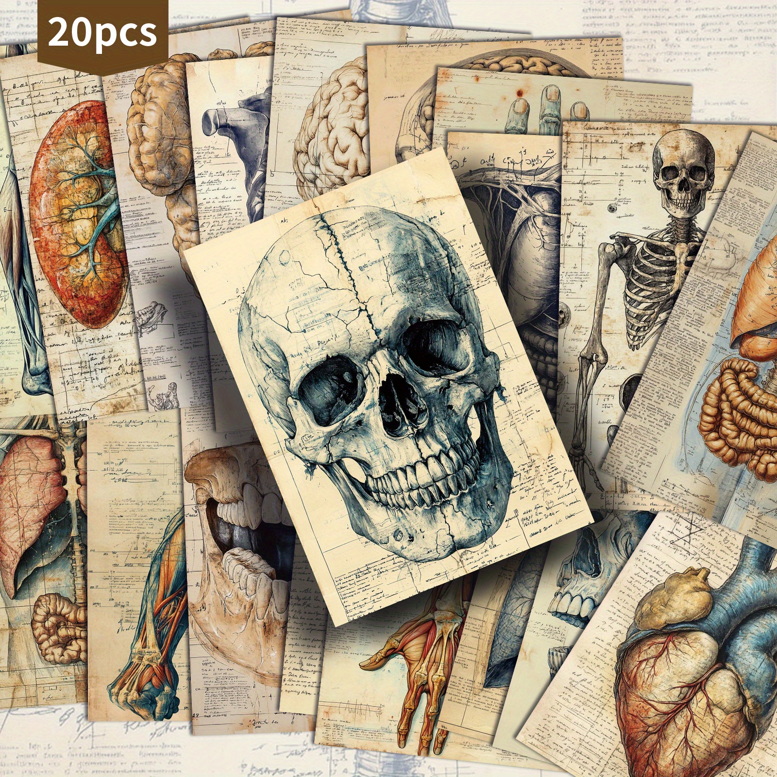 Image of 20 Pack Human Anatomy Organ Paper Postcards - 4x6 Inches Junk Journal Paper, Classic Pinup Illustrations, Collectible Decorative Painting Cards For Scrapbooking & Crafting