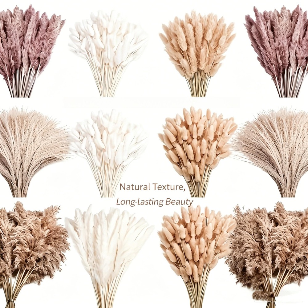 Image of 222pcs Dried Flower Pampas Bunny Rabbit Tail Grass Bouquet Boho Home Vase Room Living Seasonal Garden Decor Flowers 's Tail Wedding Party Decoration Festival Gift